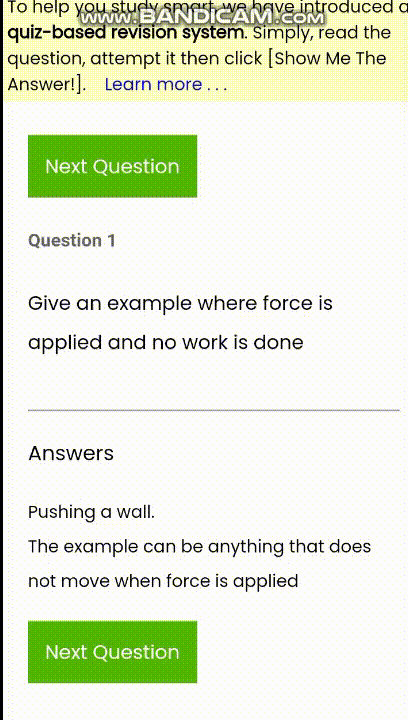 Image of a show me answer button