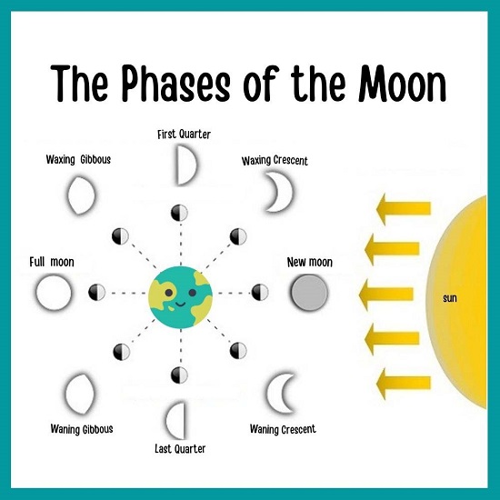 moon phases- Science and Technology grade-5