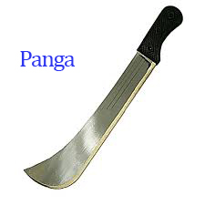 Picture of a Panga