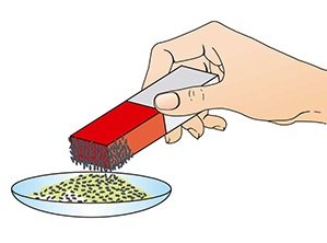 Use of a magnet