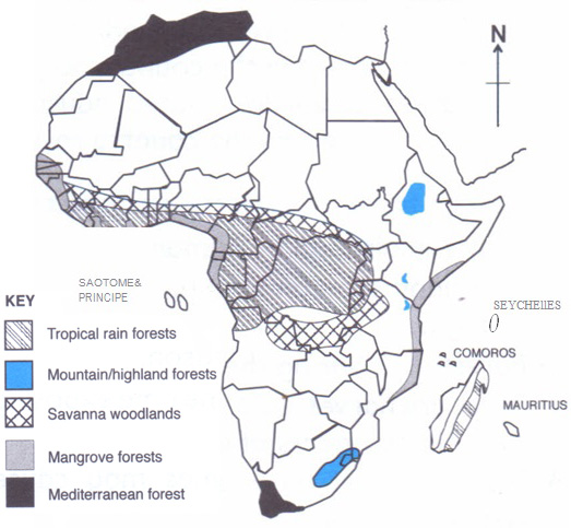 Location of major forests in Africa - Class 7