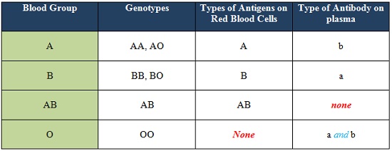 ABO blood group - Biology Form Four