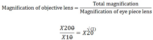 Calculating the Magnification of the Objective Lens