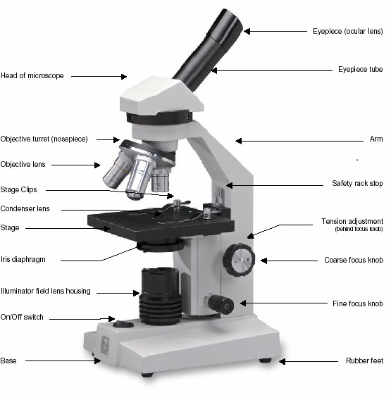 Light Microscope - Biology Form One