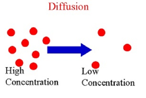 Diffusion - Biology Form One
