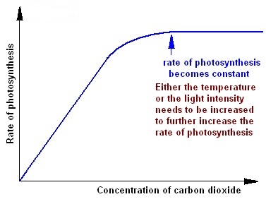Factors Carbon IV Oxide - Biology Form One