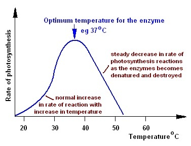 Factors Temperature - Biology Form One