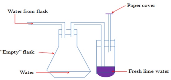 Testing for Carbon (IV) Oxide- Chemistry Form One