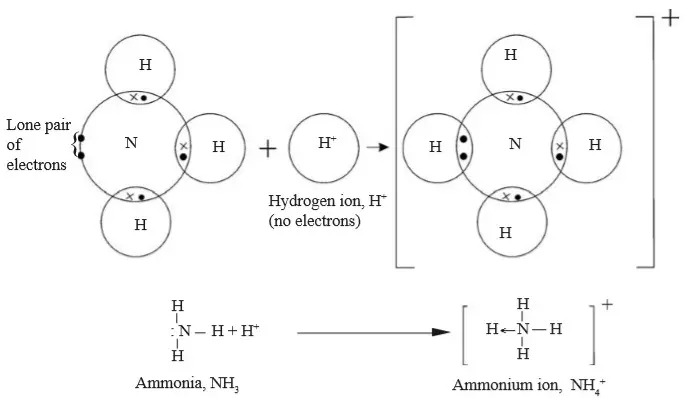 ammonium ion - Chemistry Form Two