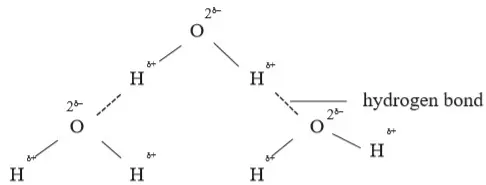 hydrogen bond - Chemistry Form Two