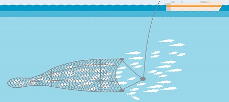 Trawling Fishing Method