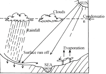 Hydrological Cycle Process Illustration