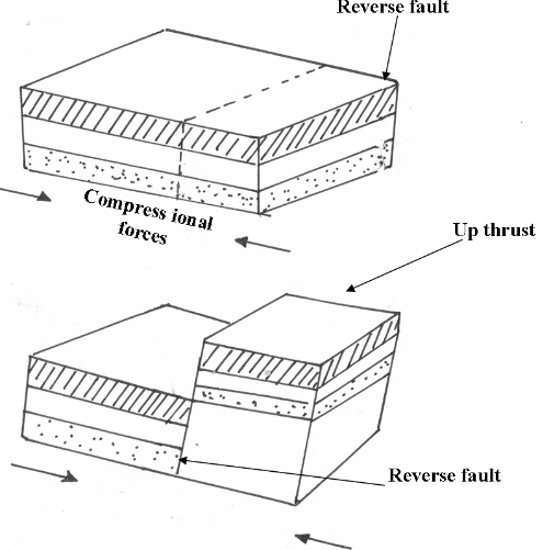Reverse Faults Occurence Diagram