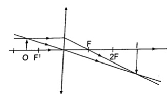 Example-phy Form Four