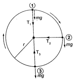 Motion in a vertical circle-phy Form Four