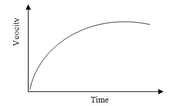 Physics Answer